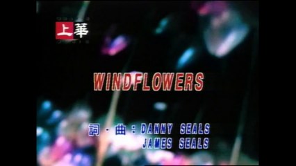 齊秦 Chyi Chin (虹樂團) - Windflowers feat. 齊豫 Chyi Yu (MV)