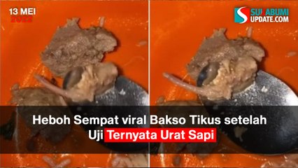 Heboh Sempat viral Bakso Tikus setelah Uji Ternyata Urat Sapi