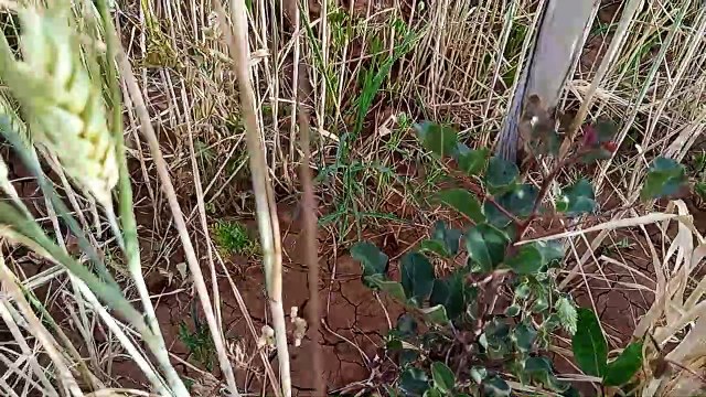 Ait bou Ali tidili massfioua Marrakech Maroc