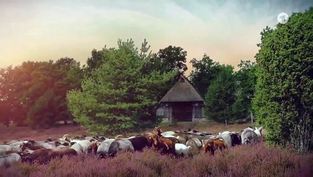 Rote Rosen 3561 folge