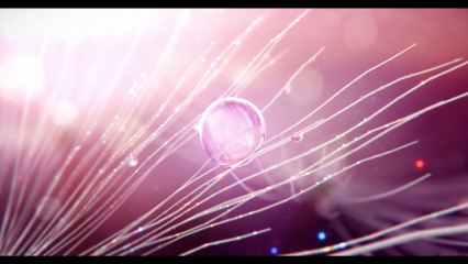 Element Introducing Dolby Cinema   Trailer   Dolby