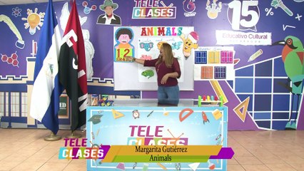 Inglés de 1er  Grado (14 y 15 de Mayo)