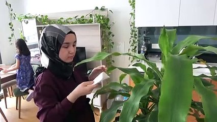 قاعدة بيانات صينية مسربة تكشف عن آلاف المعتقلين في شينجيانغ