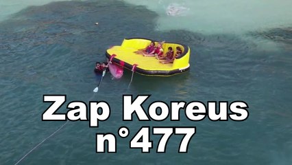 Zap Koreus n°477