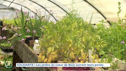 SOLIDARITE / Les jardins du cœur de Blois ouvrent leurs portes