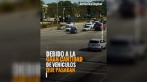 Rescate en la autopista: personas salvan a una mujer inconsciente en su vehículo