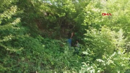 RİZE'DE UÇURUMDAN YUVARLANAN YAŞLI ADAM KURTARILDI