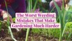 7 of the Worst Weeding Mistakes That Make Gardening Much Harder