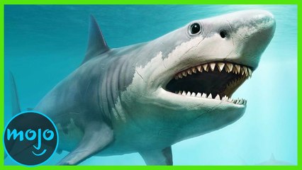 ¡Top 20 Animales EXTINTOS!