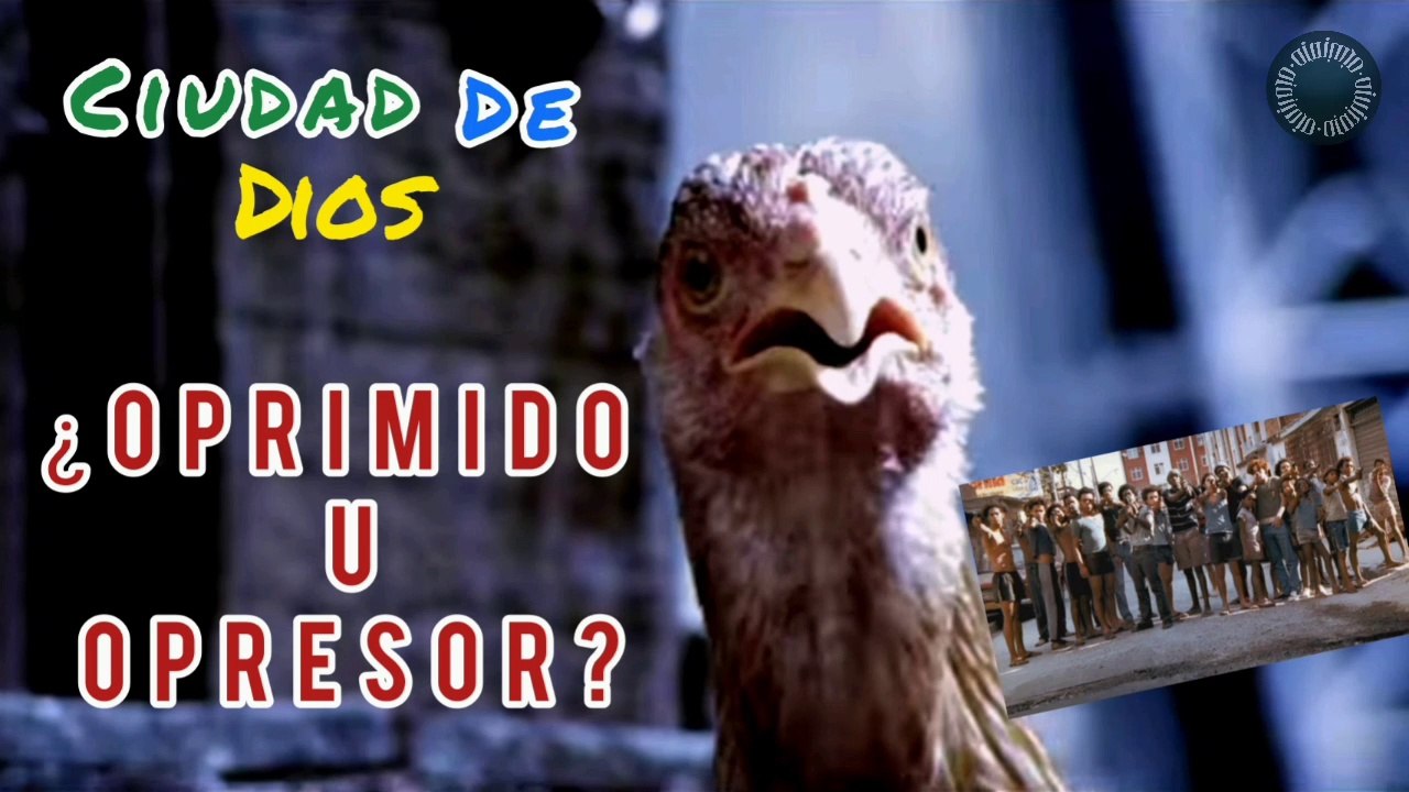 Si corres te atrapan, si te quedas te matan - Ciudad de Dios