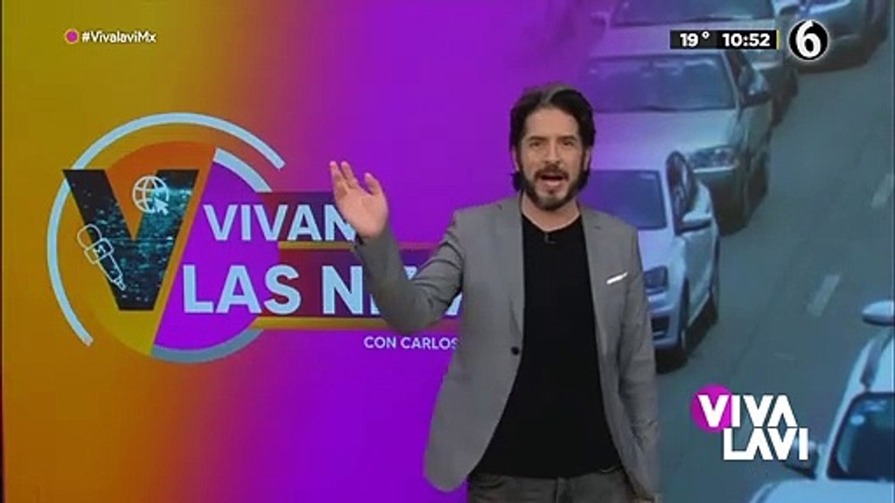 Encarcelan a dos becerros; se comieron pasto de un albergue