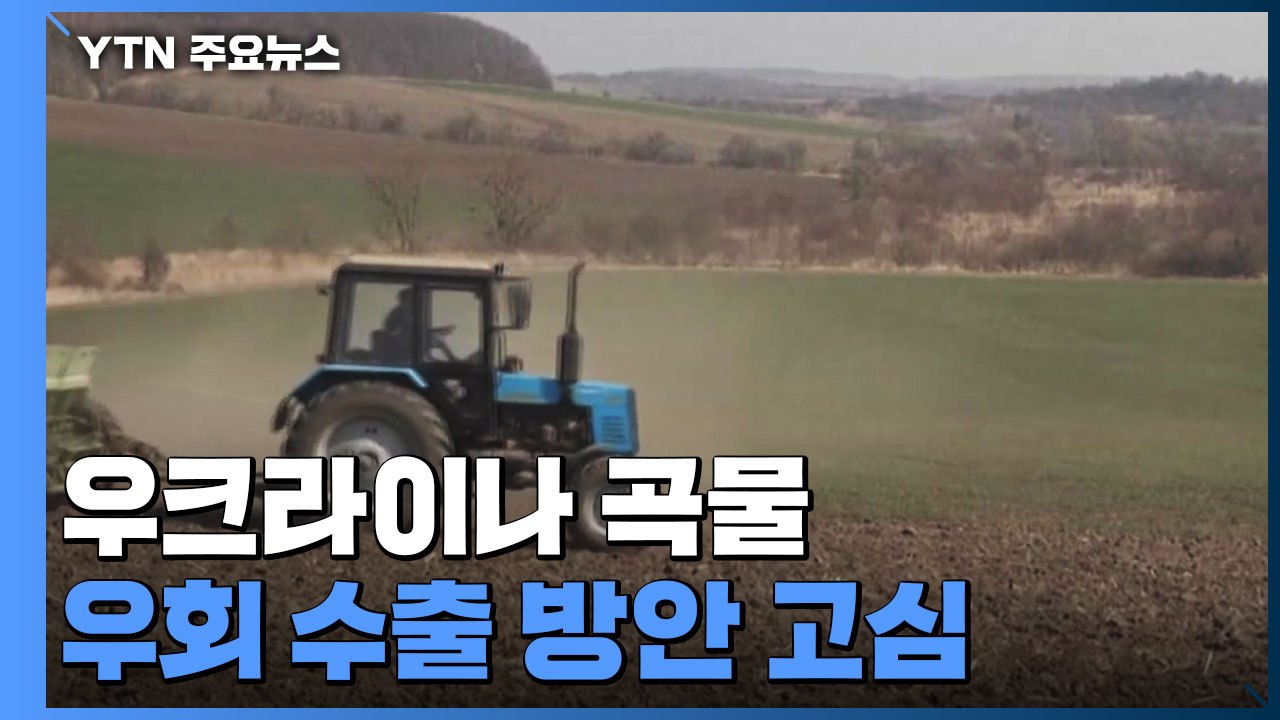 '우크라이나 곡물'  우회 수출 방안 고심 / YTN