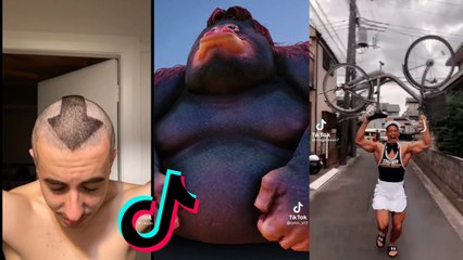 Funny TikToks to watch while procrastinating (3)