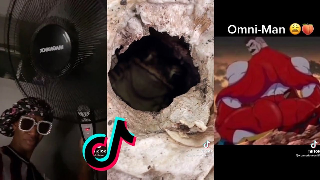 Funny TikToks I am too lazy to find a title for