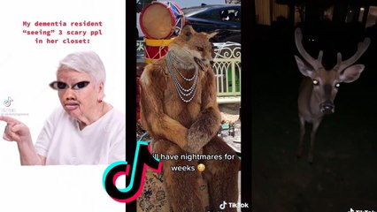 Funny TikToks that cured my boredom