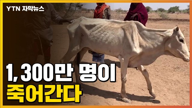 [자막뉴스] '최악의 가뭄' 1,300만 명이 굶주리는 아프리카 현재 상황 / YTN