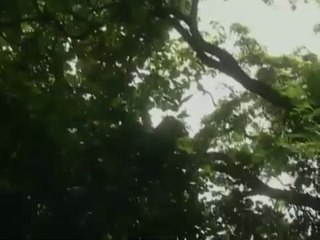 X Zone _ Hindi Horror Show _ Full Episode - 57 _
