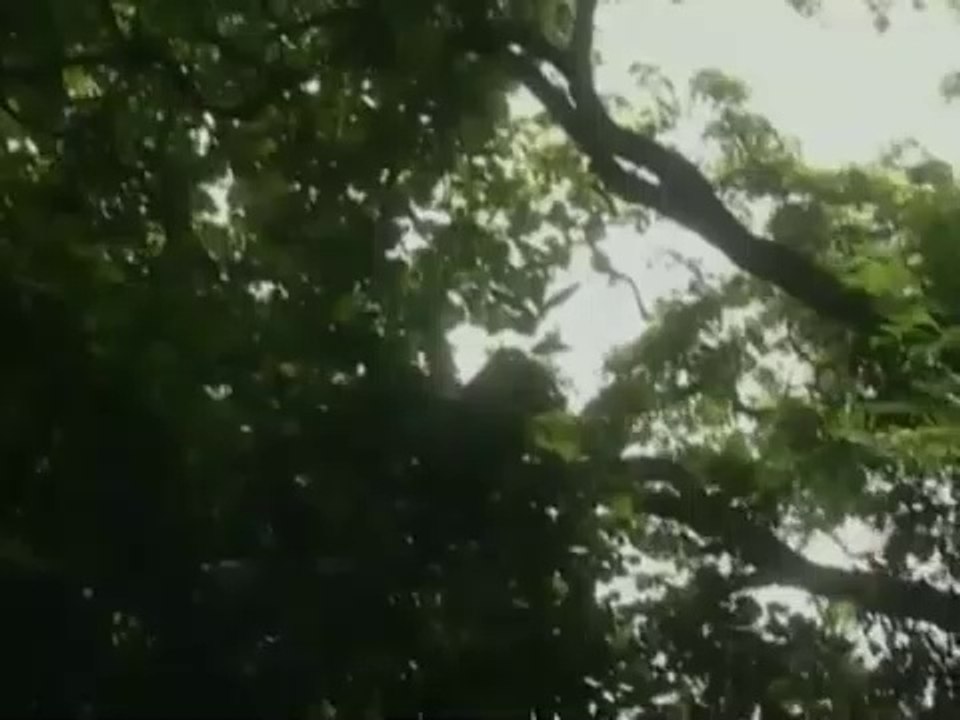 X Zone _ Hindi Horror Show _ Full Episode - 57 _