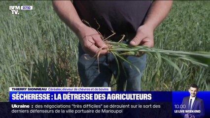 La détresse des agriculteurs face à la sécheresse