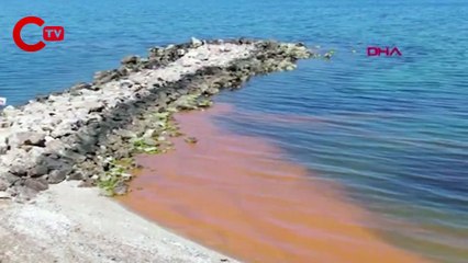 Karadeniz'de korkutan renk değişimi