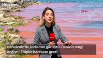 Karadeniz'de korkutan görüntü: Denizin rengi değişti! Ekipler harekete geçti