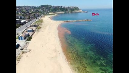 Karadeniz’e korkutan renk değişimi!