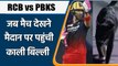 IPL 2022: RCB vs PBKS: मैच देखने मैदान पर पहुंची Black Cat, थोड़ी देर रुका मैच | वनइंडिया हिंदी