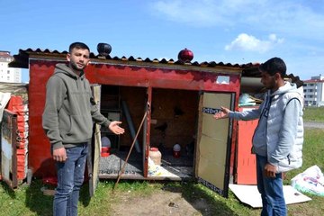Güvercin sahibinden hırsızlara tepki: "Azıcık vicdanın varsa o güvercinleri getirip bırak"