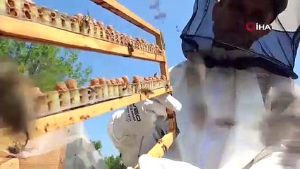 Türkiye'nin yeni madeni bulundu: Gram gram sağıp kilosunu 10 bin TL'den satıyorlar!