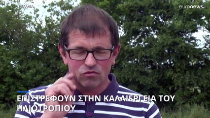 Γαλλία: Σε ποιες καλλιέργειες στρέφονται οι αγρότες λόγω του πολέμου στην Ουκρανία