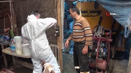 Karabük'te baharın gelmesiyle keneye karşı önlemler alınmaya başladı