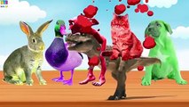 Learn Colors with Animals _ Learn Animals Name _ Alien Dance Song for Kids