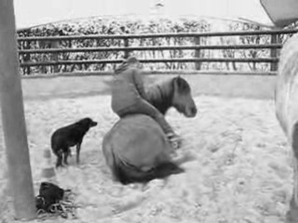 10 mars 2008 rond longe