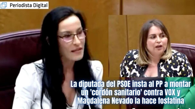 La diputada del PSOE insta al PP a montar un 'cordón sanitario' contra VOX y Magdalena Nevado la hace fosfatina