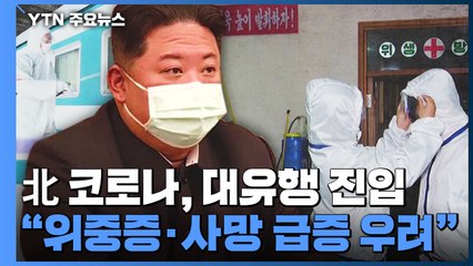 "북한 코로나, 대유행 진입...위중증·사망 급증 우려" / YTN