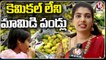 Public Special Interest To Natural Mangoes In Sangareddy _ V6 News