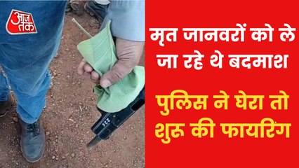 Guna: Blackbuck-peacock killed, then murder of 3 policemen