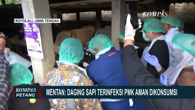 Waspada! 4 Sapi di Rembang Terjangkit Penyakit Mulut dan Kuku