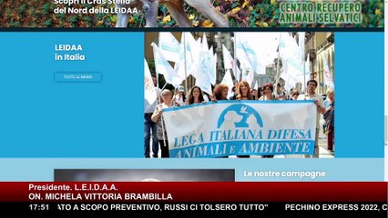 Allerta peste suina, On. Brambilla avverte ▷ "No agli abbattiment, rischiano di favorire infezione" | Bau Miao 5° puntata