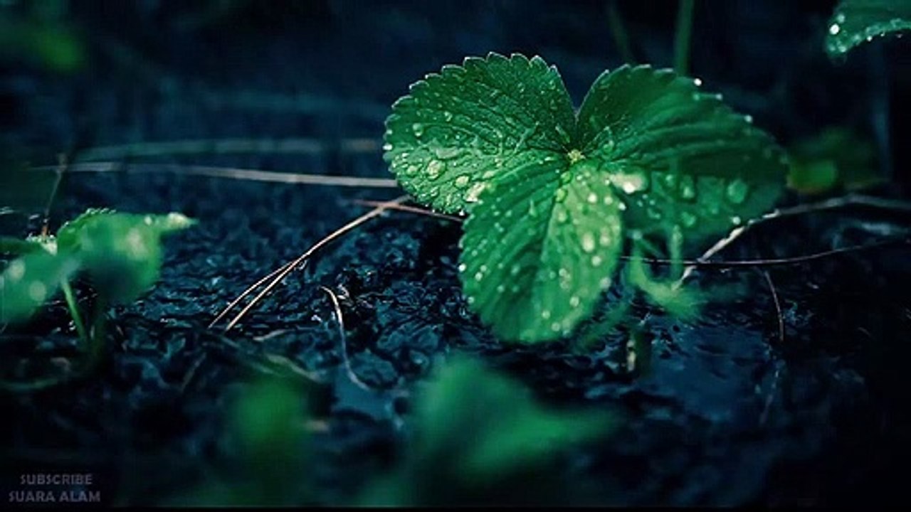 Suara Hujan Dan Petir - Untuk Terapi Bagi Yang Susah Tidur