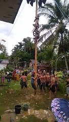 Panjat pinang bangkitkan kekompakan silaturahmi