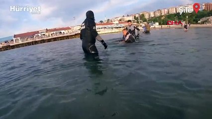 Şile'de plaja vuran yunusu hayata döndürdüler