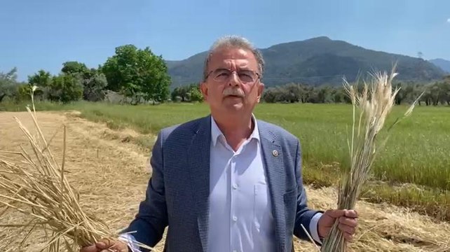 CHP’li Girgin: Çiftçiler borç ve iflasa sürükleniyor