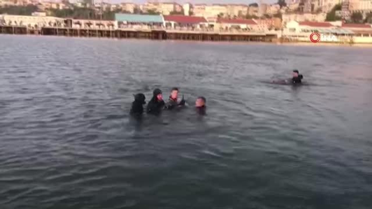 Son dakika haber | Şile'de nefes kesen kurtarma operasyonu... Kıyıya vuran yunus böyle kurtarıldı