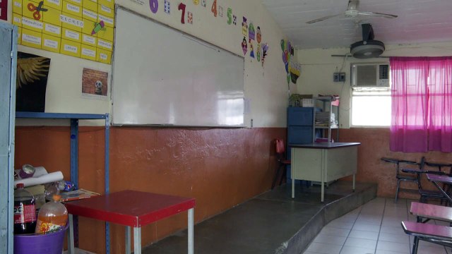 Día del maestro; una bondadosa profesión | CPS Noticias Puerto Vallarta