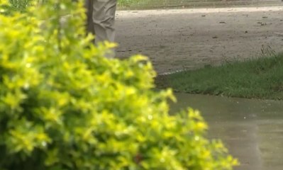Balacera en Buga dejó tres personas muertas y una más herida