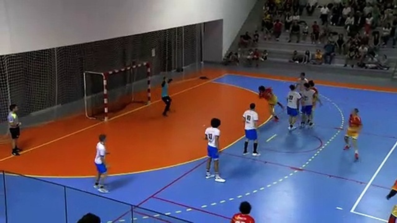 Images maritima: quelques beaux buts du match Martigues Handball Montpellier