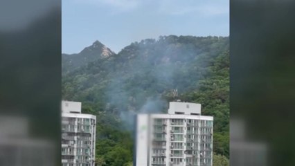서울 수락산에서 불...30여 분 만에 진화 / YTN