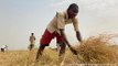 Displaced farmers in Nigeria feel too afraid to return home