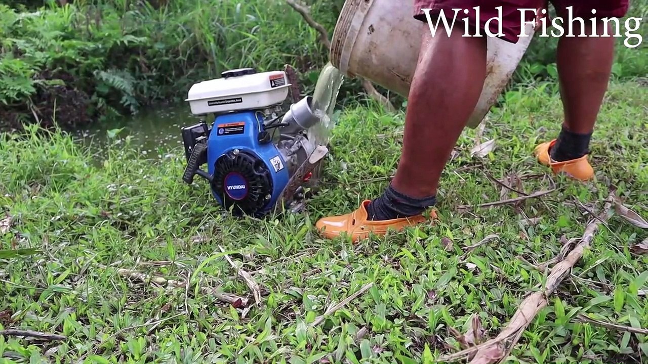 野生の釣りを見つける：大きなポンプを使って湖でたくさんの魚を捕まえる水を吸うFind Wild Fishing _ Catch Many